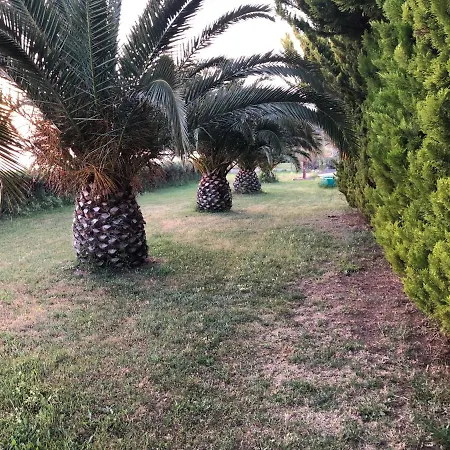 District 01 -luxurious With Private *