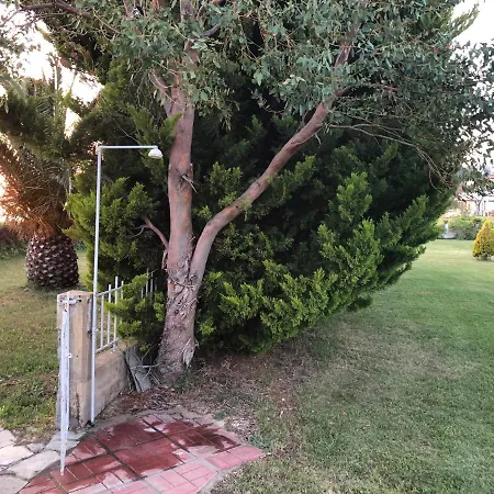 Case de vacanță District 01 -luxurious With Private *