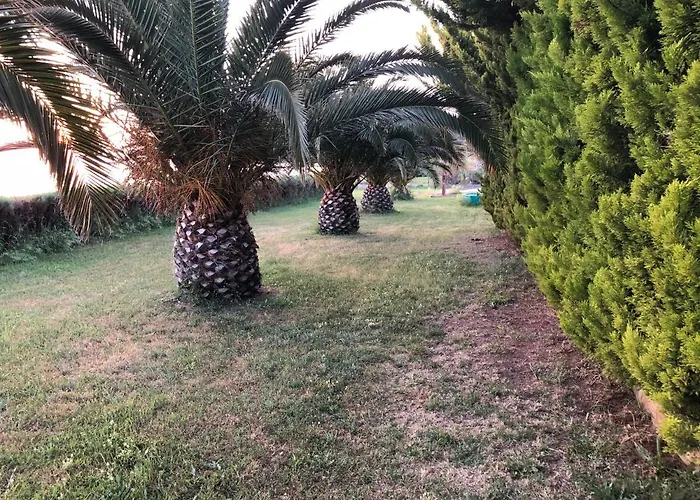 District 01 -luxurious With Private *