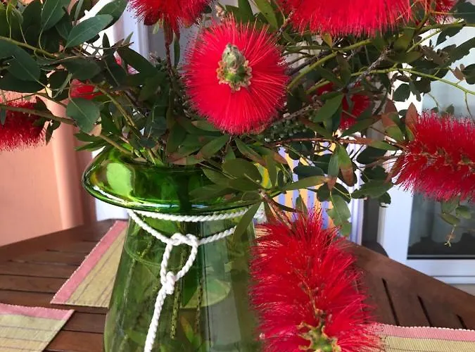 District 01 -luxurious With Private * Metokhion Konstamonitou