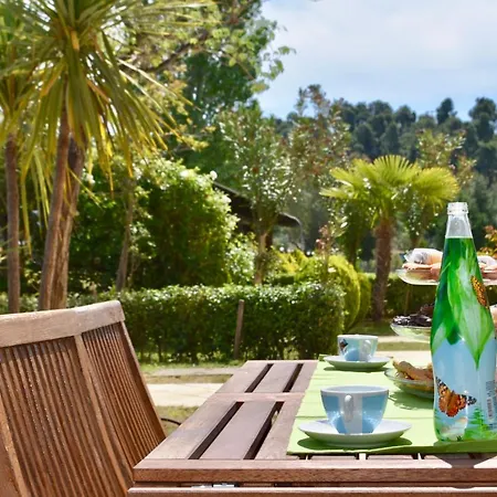 District 01 -luxurious With Private *