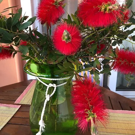 District 01 -luxurious With Private * Metokhion Konstamonitou